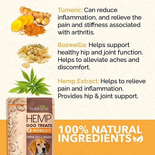 HolistaPet Hemp Dog Treats - Joint & Mobility Care - 30 Crunchy Treats - 300mg - Made in USA - Powerful Relief with Hemp Oil Turmeric & Boswellia - 100% Organic - for Hips & Joint Pain, Inflammation