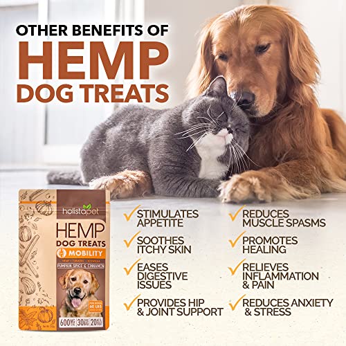 HolistaPet Hemp Dog Treats - Joint & Mobility Care - 30 Crunchy Treats - 600mg - Made in USA - Powerful Relief with Hemp Oil Turmeric & Boswellia - 100% Organic - for Hips & Joint Pain, Inflammation