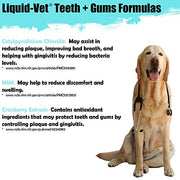 Liquid-Vet K9 Teeth & Gums Advanced Formula, Pot Roast Flavor, 8 oz BOGO Trial Pack