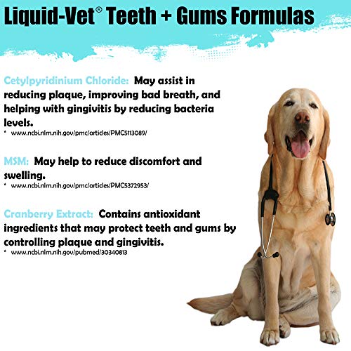 Liquid-Vet K9 Teeth & Gums Advanced Formula, Pot Roast Flavor, 8 oz BOGO Trial Pack