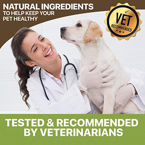 HolistaPet Hemp Dog Treats - Stress & Anxiety Relief - 30 Crunchy Treats - 150mg - Made in USA - Calming Hemp Oil Treats for Dogs - Separation - Aggressive Behavior - Loud Noises - Thunder