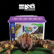 Lee's Kritter Keeper, Mini Rectangle w/Lid ( Colors May Vary )