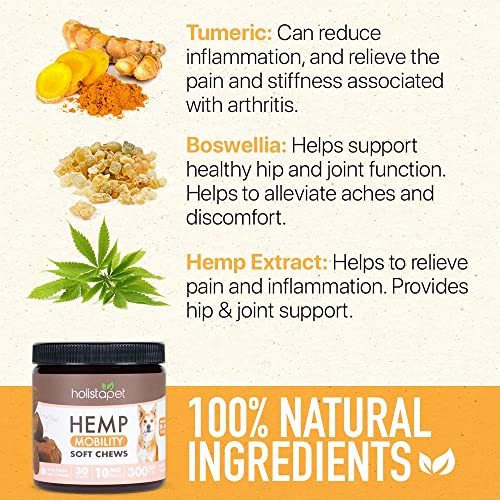 HolistaPet Hemp Mobility Chews for Dogs - Joint & Mobility Care - 30 Soft Chews - 300mg - Made in USA - Powerful Relief with Hemp Oil Turmeric & Boswellia - Organic - Hips & Joint Pain - Inflammation
