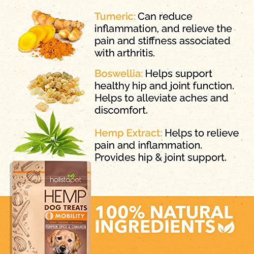 HolistaPet Hemp Dog Treats - Joint & Mobility Care - 30 Crunchy Treats - 600mg - Made in USA - Powerful Relief with Hemp Oil Turmeric & Boswellia - 100% Organic - for Hips & Joint Pain, Inflammation