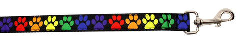 Rainbow Paws Nylon Pet Leash 1in By