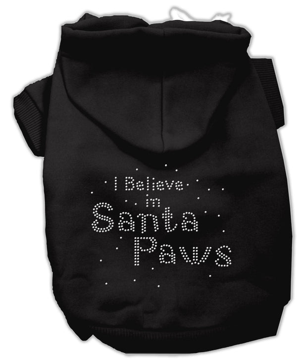 I Believe In Santa Paws Hoodie