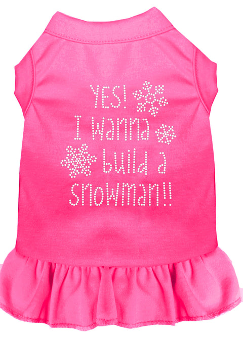 Yes! I Want To Build A Snowman Rhinestone Dog Dress