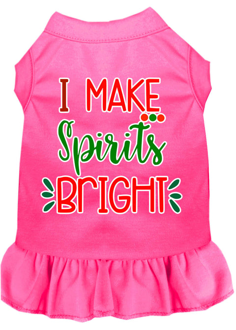 I Make Spirits Bright Screen Print Dog Dress