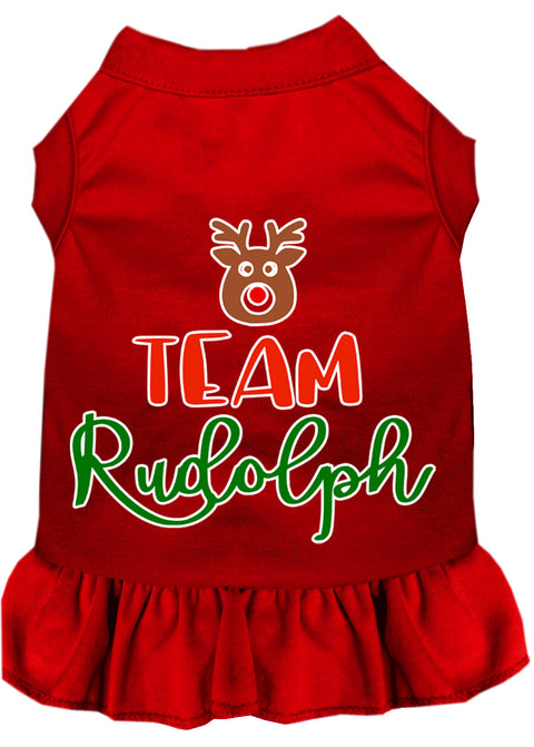 Team Rudolph Screen Print Dog Dress