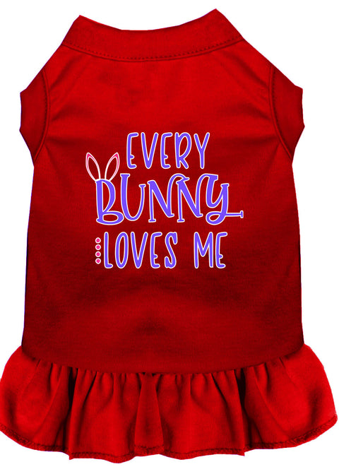 Every Bunny Loves Me Screen Print Dog Dress