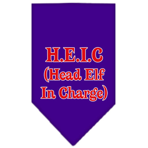 Head Elf In Charge Screen Print Bandana